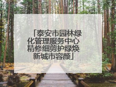 泰安市园林绿化管理服务中心精修细剪护绿焕新城市容颜
